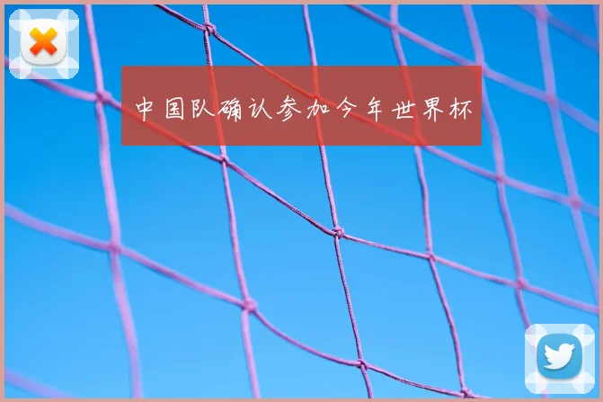 中国队确认参加今年世界杯