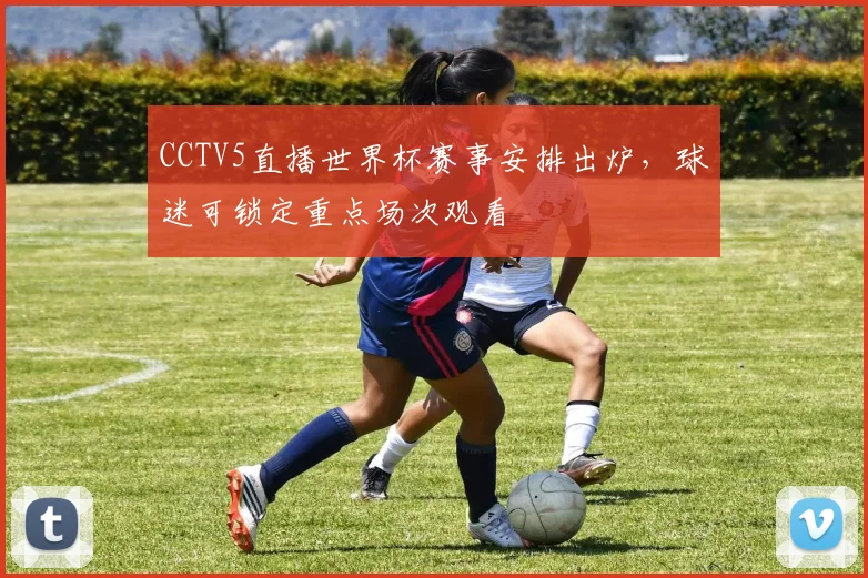 CCTV5直播世界杯赛事安排出炉，球迷可锁定重点场次观看