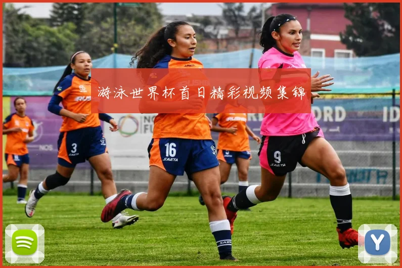 游泳世界杯首日精彩视频集锦