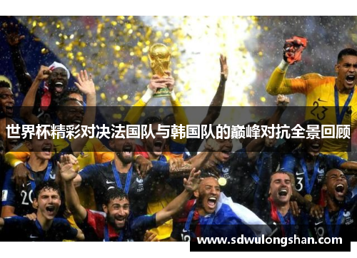 世界杯精彩对决法国队与韩国队的巅峰对抗全景回顾