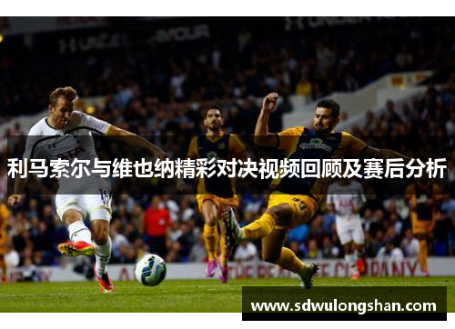 利马索尔与维也纳精彩对决视频回顾及赛后分析