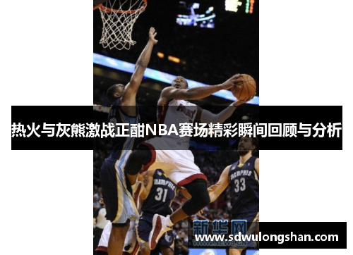 热火与灰熊激战正酣NBA赛场精彩瞬间回顾与分析