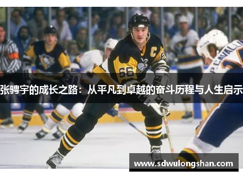 张骋宇的成长之路：从平凡到卓越的奋斗历程与人生启示